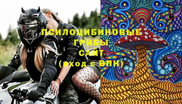 гидра Балахна
